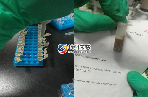 <a href=http://m.sxcall.com/prouduct/lengdong/ target=_blank class=infotextkey>冷凍研磨儀</a>